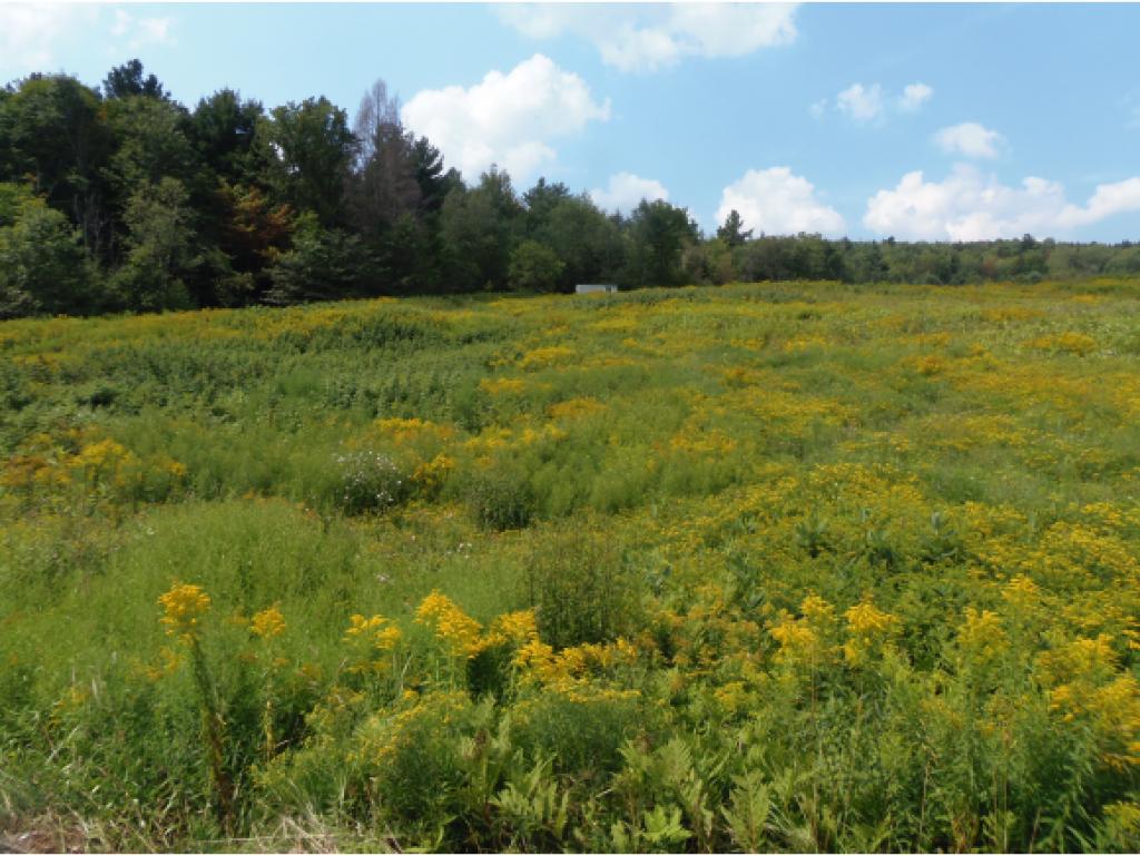 2167 Vermont Rte 100 Westfield, VT 05874 - Photo 2 of 11