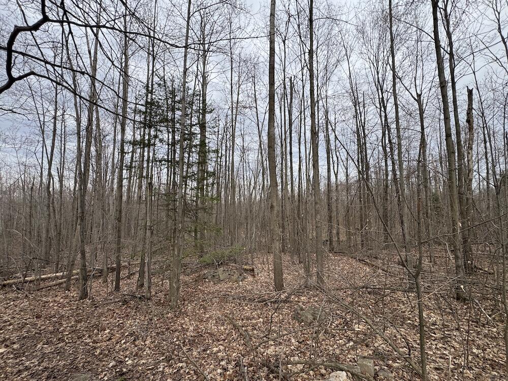 1734 North Galbraith Road Mio, MI 48647 - Photo 71 of 120 IMG_1914