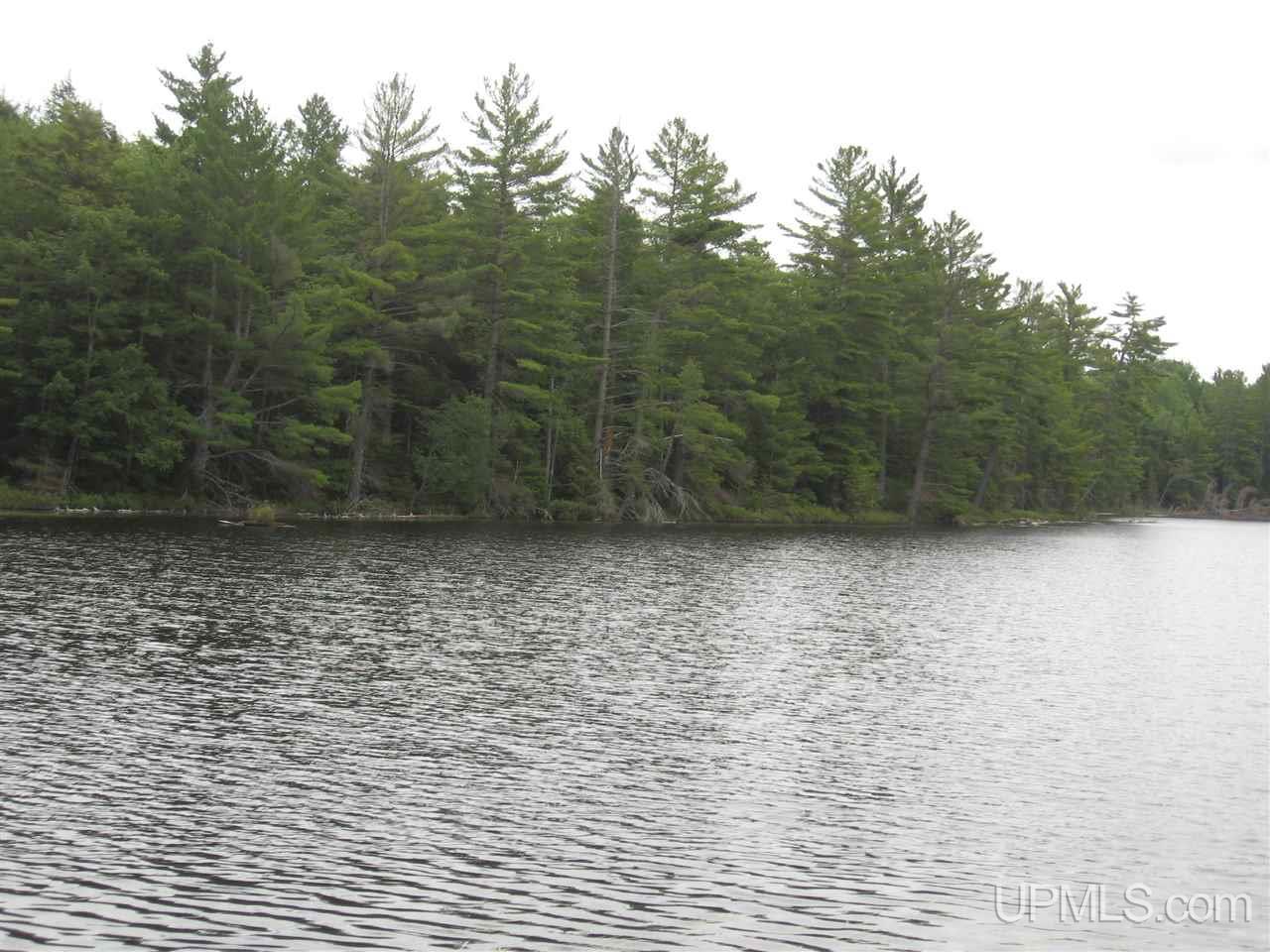 0 Rhody Cr, Unit CARTER LAKE RDP Seney, MI 49883 - Photo 19 of 36