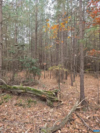 a view of outdoor space with trees