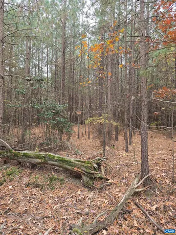 a view of outdoor space with trees