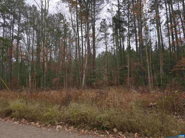 a view of a forest