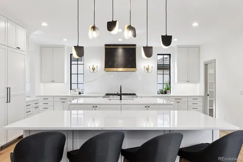 $3,900,000 | 801 Medea Way, Denver, CO 80209
