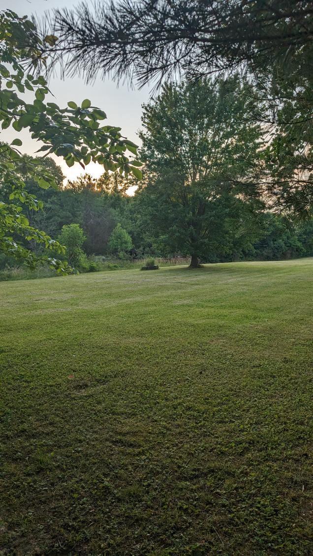 4770 Goddard Road Wallingford, KY 41093 - Photo 2 of 5 image000003