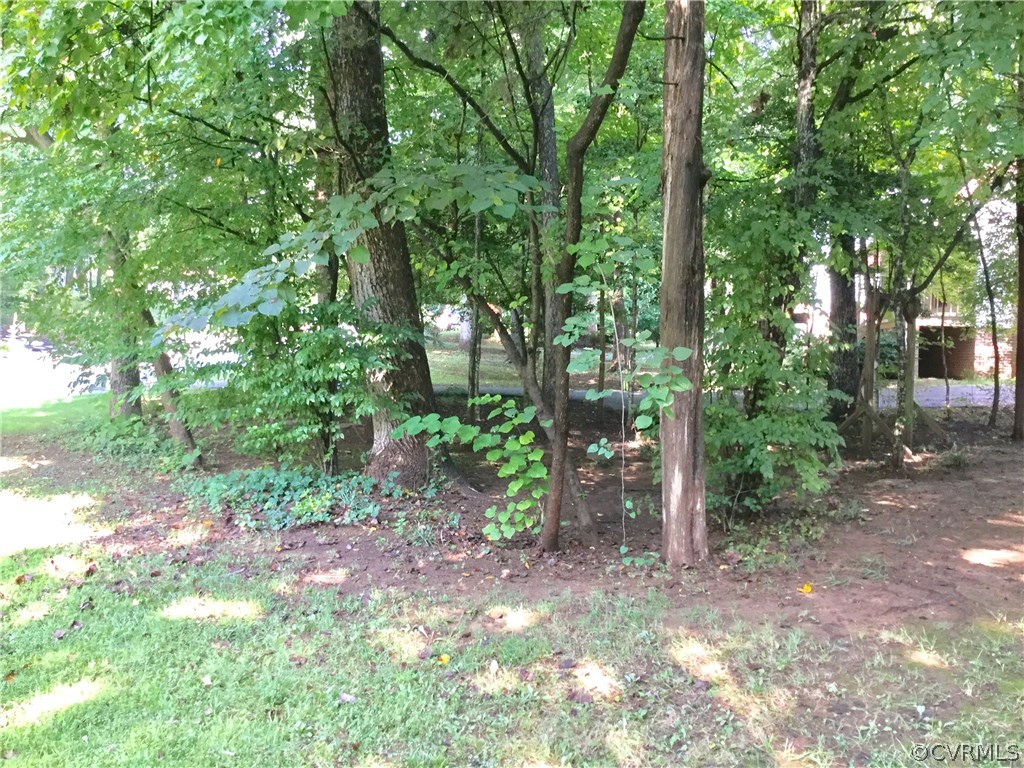 7224 Full Rack Drive Midlothian, VA 23112 - Photo 17 of 35 a view of a yard with plants and trees