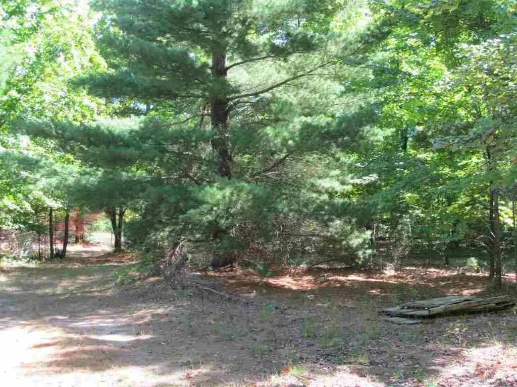 5560 North 3 Road Mesick, MI 49668 - Photo 10 of 14