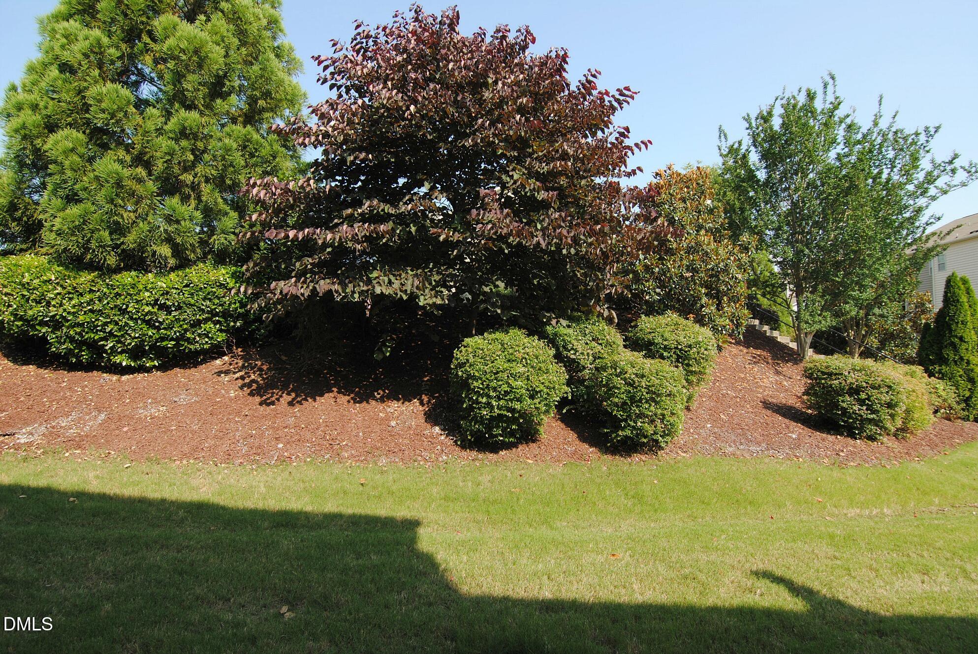 8257 Primanti Boulevard Raleigh, NC 27612 - Photo 25 of 27 a view of a yard
