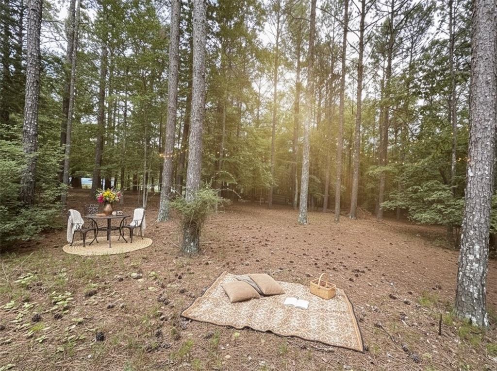 None Maner Road Rockmart, GA 30153 - Photo 2 of 5 a view of a outdoor space with sitting area