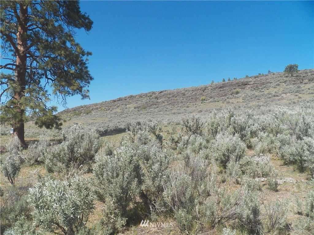 -tbd Moon Dust Road Tonasket, WA 98855 - Photo 1 of 24 Gallery Image 1