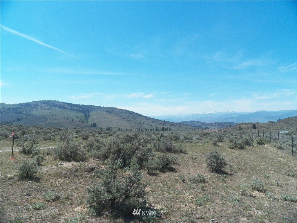 -tbd Moon Dust Road Tonasket, WA 98855 - Photo 2 of 24 Gallery Image 2