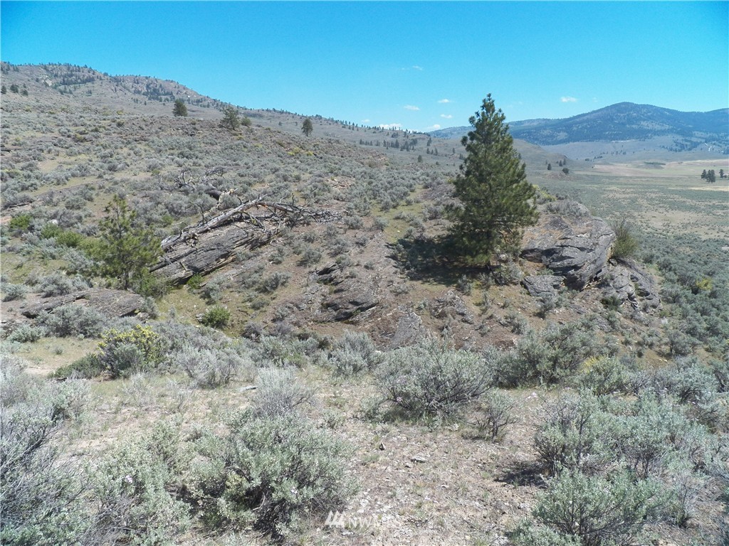 -tbd Moon Dust Road Tonasket, WA 98855 - Photo 11 of 24 Gallery Image 11