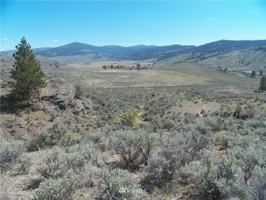 -tbd Moon Dust Road Tonasket, WA 98855 - Photo 12 of 24 Gallery Image 12