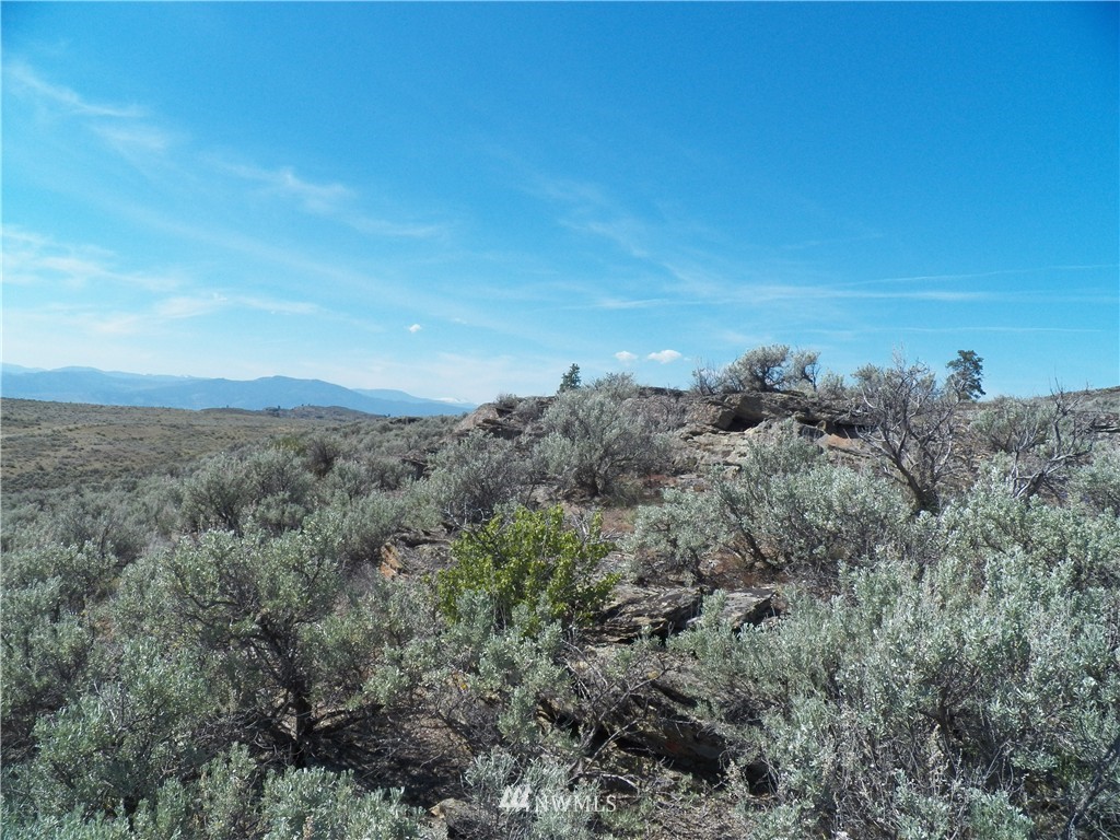 -tbd Moon Dust Road Tonasket, WA 98855 - Photo 13 of 24 Gallery Image 13