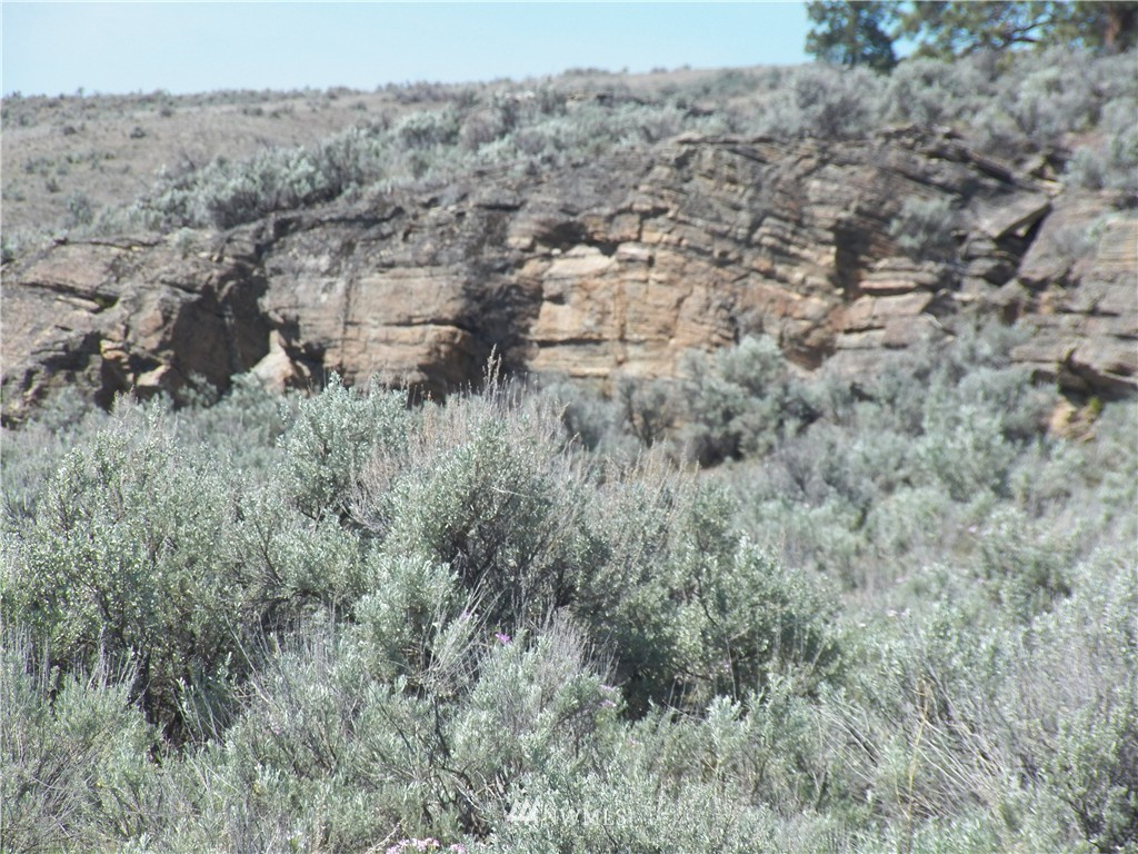 -tbd Moon Dust Road Tonasket, WA 98855 - Photo 14 of 24 Gallery Image 14