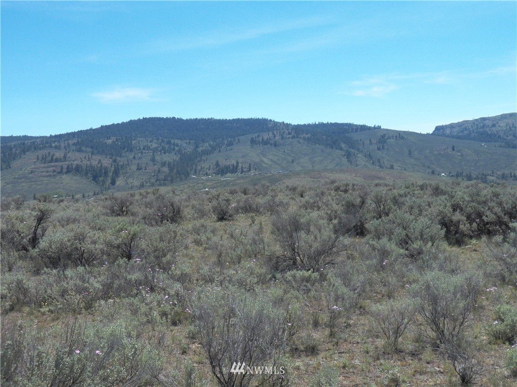 -tbd Moon Dust Road Tonasket, WA 98855 - Photo 15 of 24 Gallery Image 15