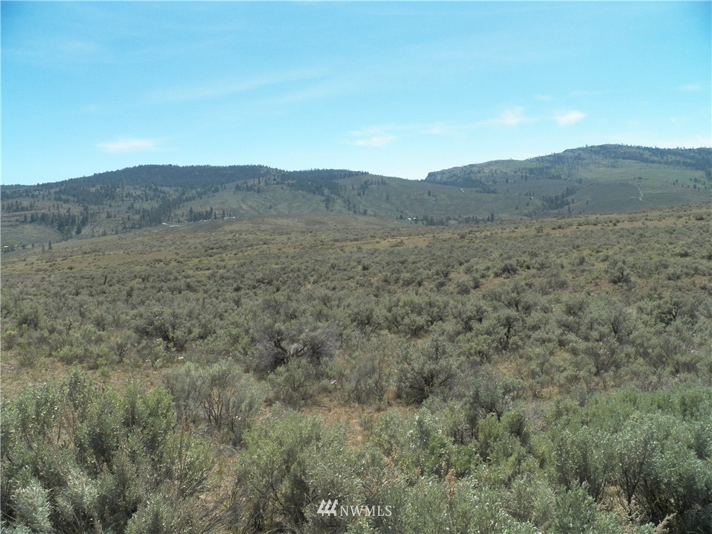-tbd Moon Dust Road Tonasket, WA 98855 - Photo 16 of 24 Gallery Image 16