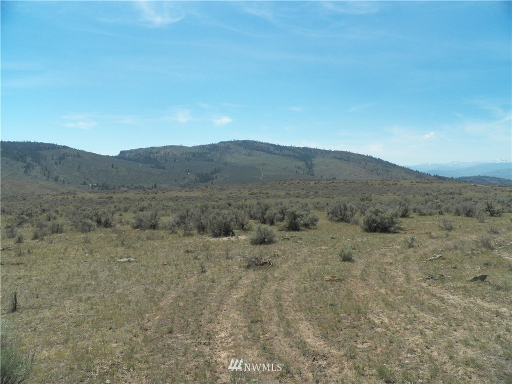 -tbd Moon Dust Road Tonasket, WA 98855 - Photo 17 of 24 Gallery Image 17