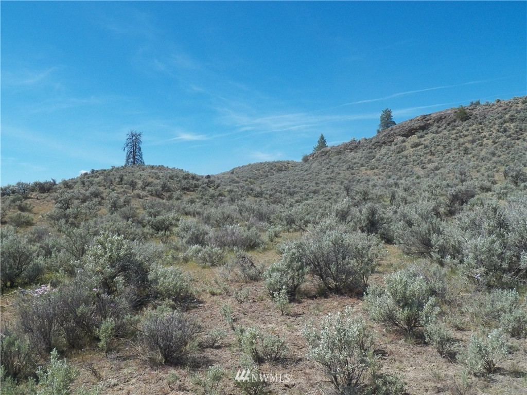 -tbd Moon Dust Road Tonasket, WA 98855 - Photo 18 of 24 Gallery Image 18