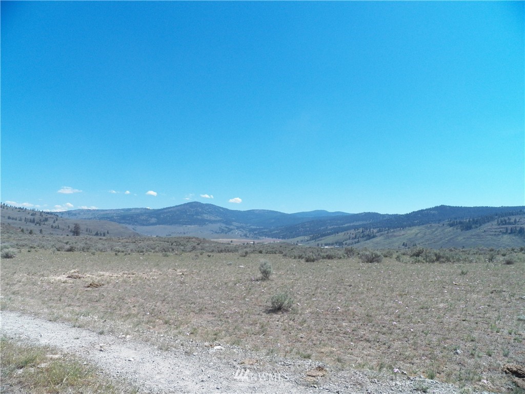 -tbd Moon Dust Road Tonasket, WA 98855 - Photo 3 of 24 Gallery Image 3