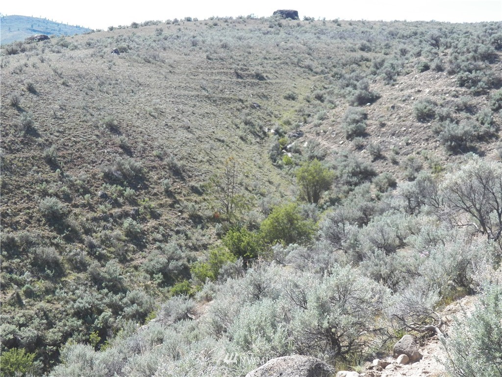 -tbd Moon Dust Road Tonasket, WA 98855 - Photo 21 of 24 Gallery Image 21