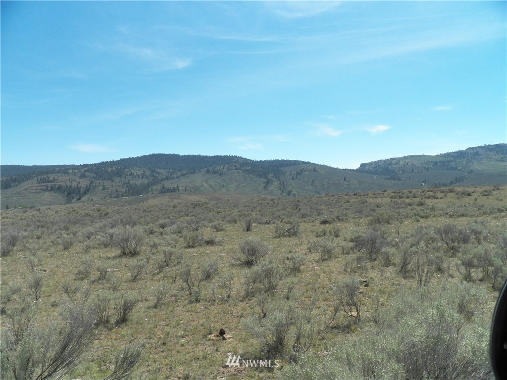 -tbd Moon Dust Road Tonasket, WA 98855 - Photo 22 of 24 Gallery Image 22