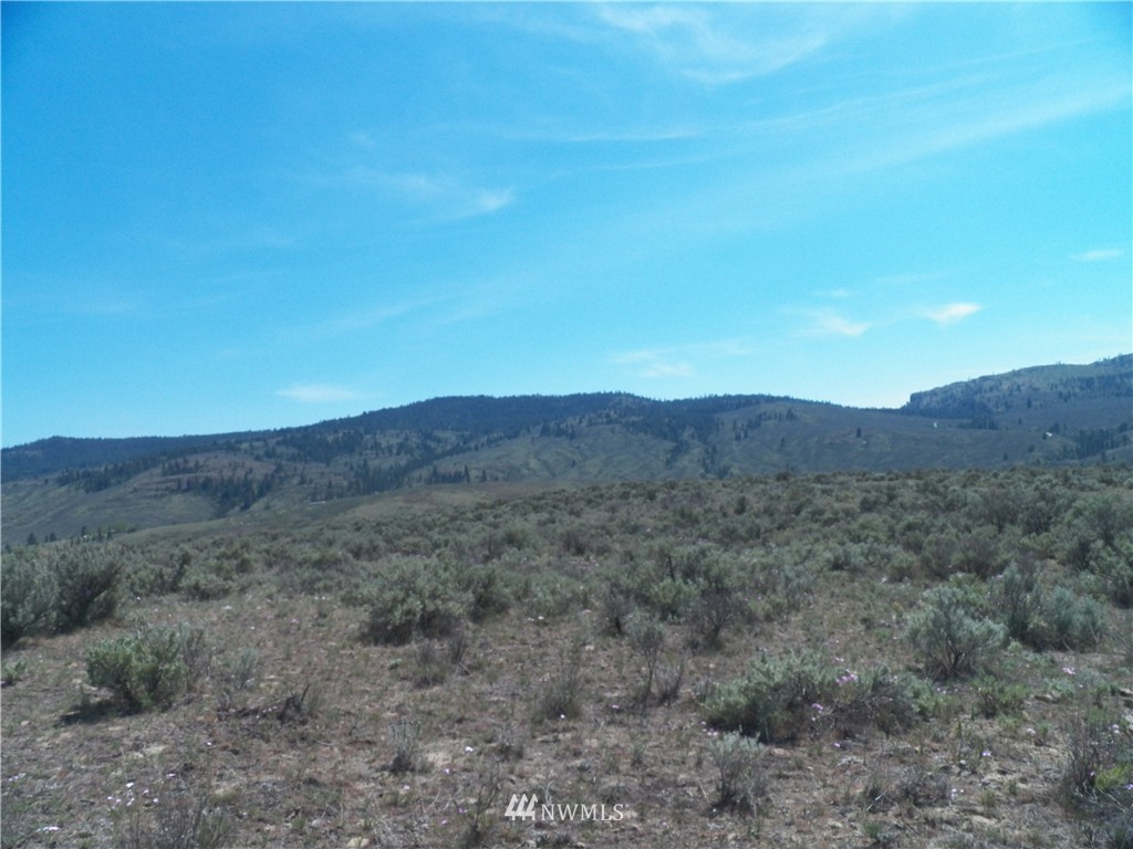 -tbd Moon Dust Road Tonasket, WA 98855 - Photo 23 of 24 Gallery Image 23