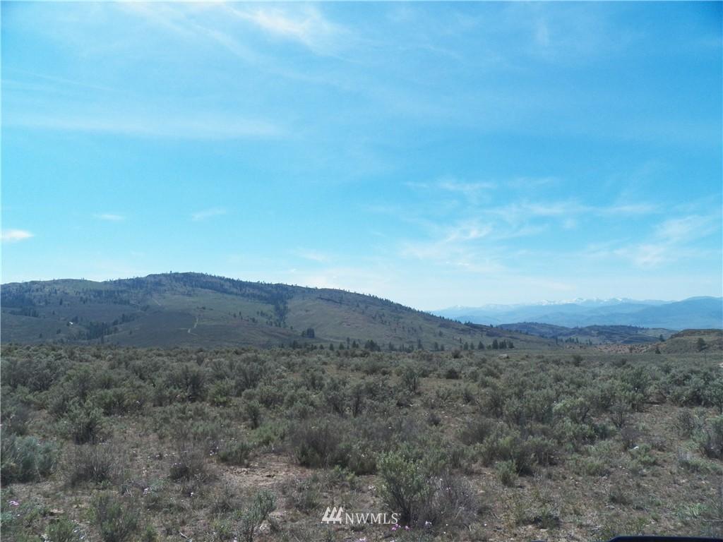 -tbd Moon Dust Road Tonasket, WA 98855 - Photo 24 of 24 Gallery Image 24