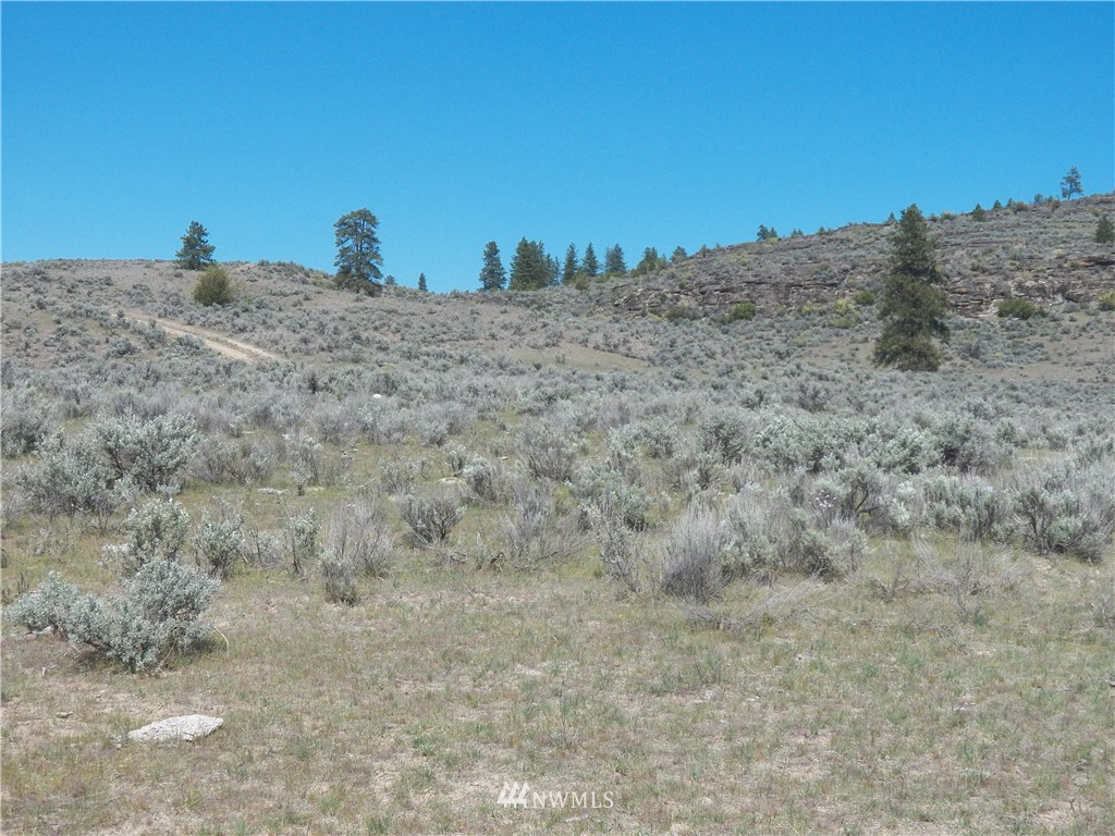 -tbd Moon Dust Road Tonasket, WA 98855 - Photo 4 of 24 Gallery Image 4