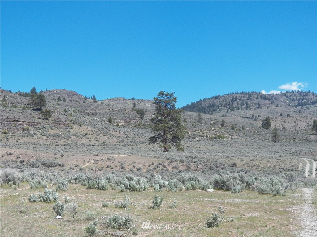 -tbd Moon Dust Road Tonasket, WA 98855 - Photo 5 of 24 Gallery Image 5