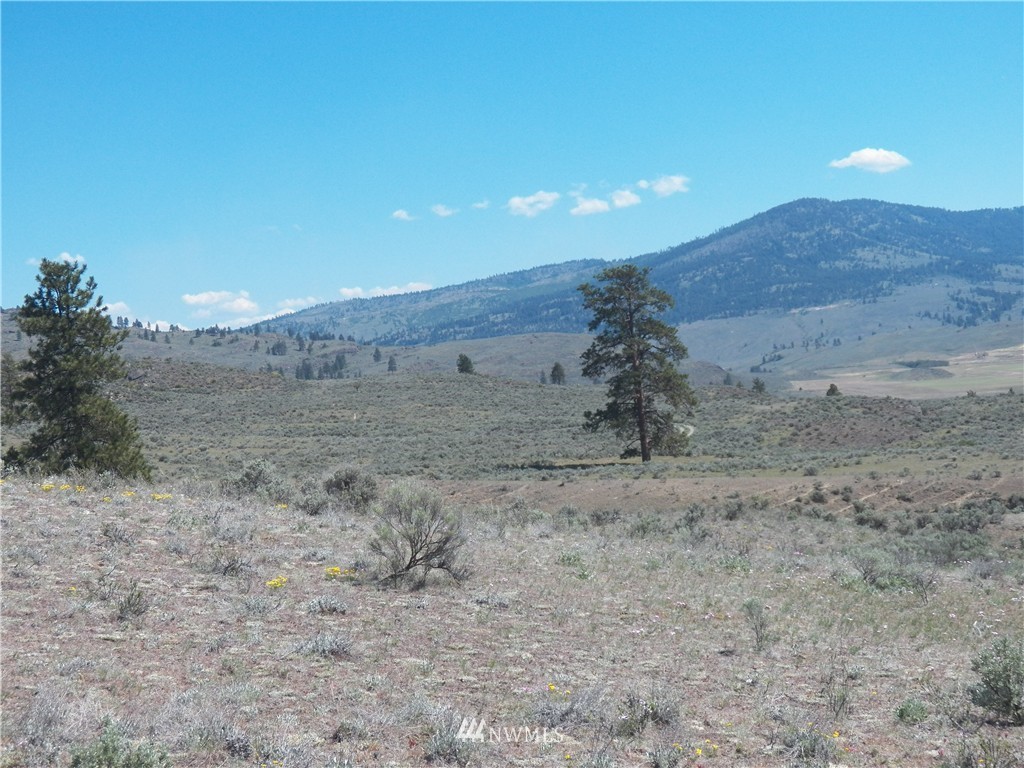 -tbd Moon Dust Road Tonasket, WA 98855 - Photo 6 of 24 Gallery Image 6