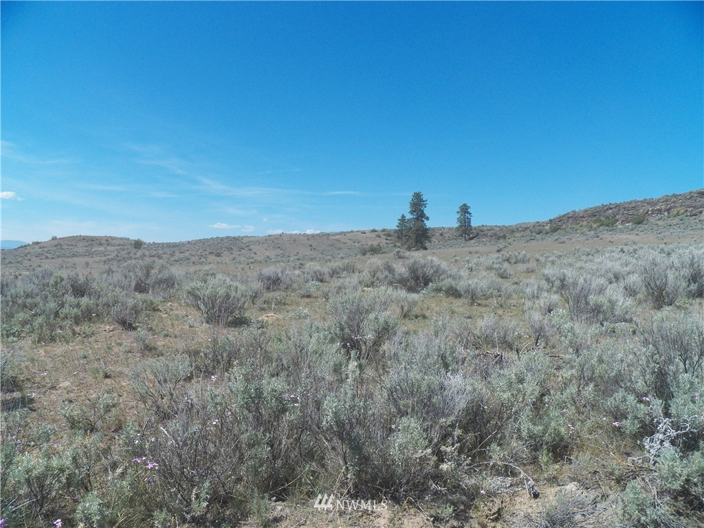 -tbd Moon Dust Road Tonasket, WA 98855 - Photo 7 of 24 Gallery Image 7
