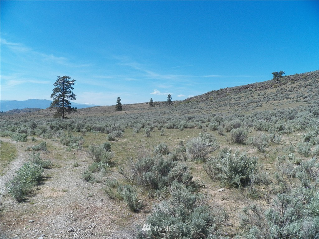 -tbd Moon Dust Road Tonasket, WA 98855 - Photo 8 of 24 Gallery Image 8