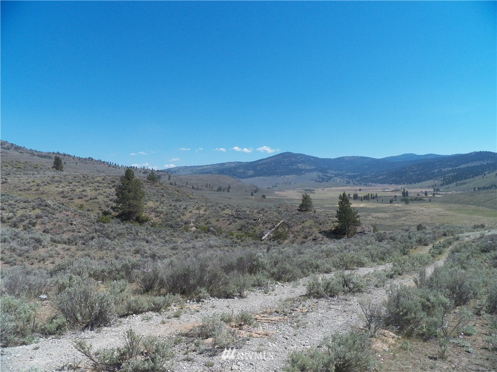-tbd Moon Dust Road Tonasket, WA 98855 - Photo 9 of 24 Gallery Image 9