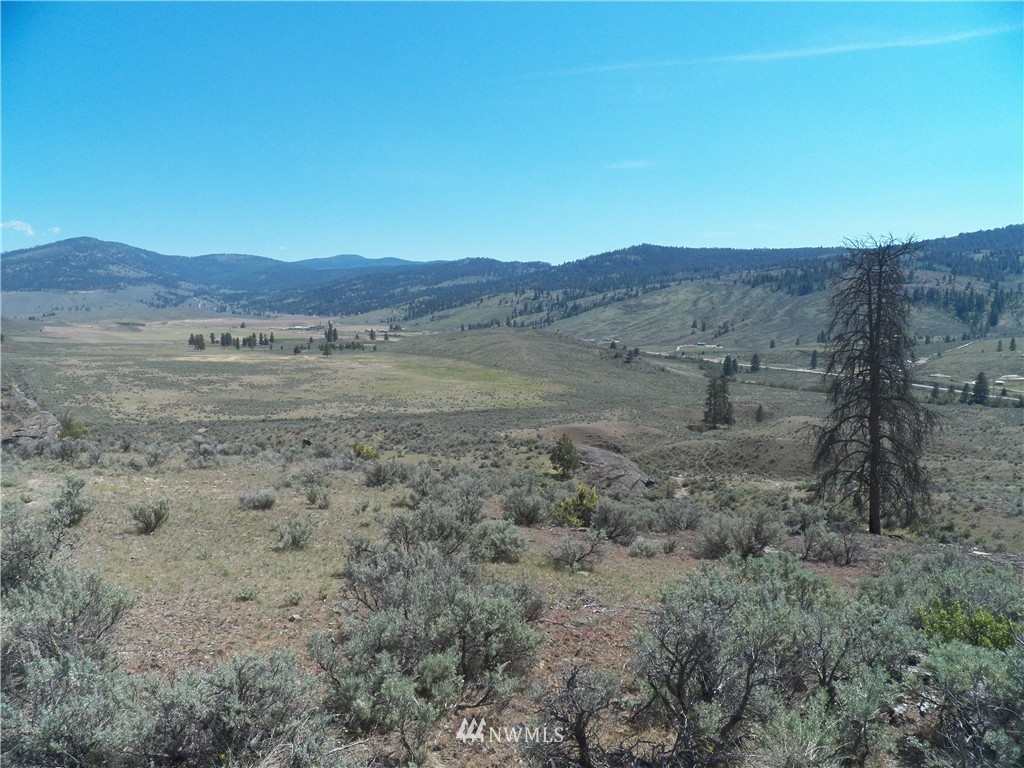 -tbd Moon Dust Road Tonasket, WA 98855 - Photo 10 of 24 Gallery Image 10