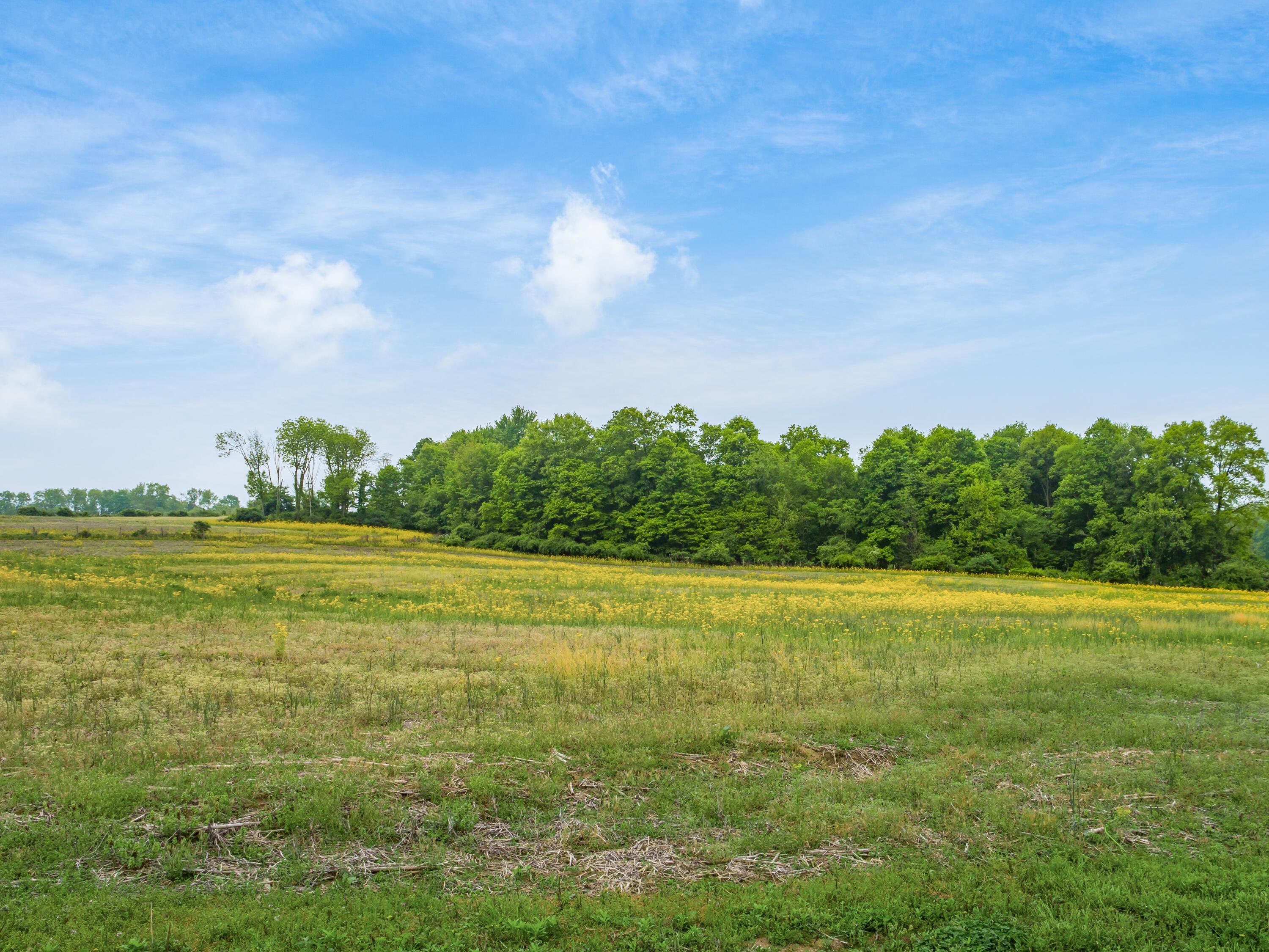 12296 Flint Ridge Road Heath, OH 43056 - Photo 24 of 36 27-z 12296 Flint Ridge067