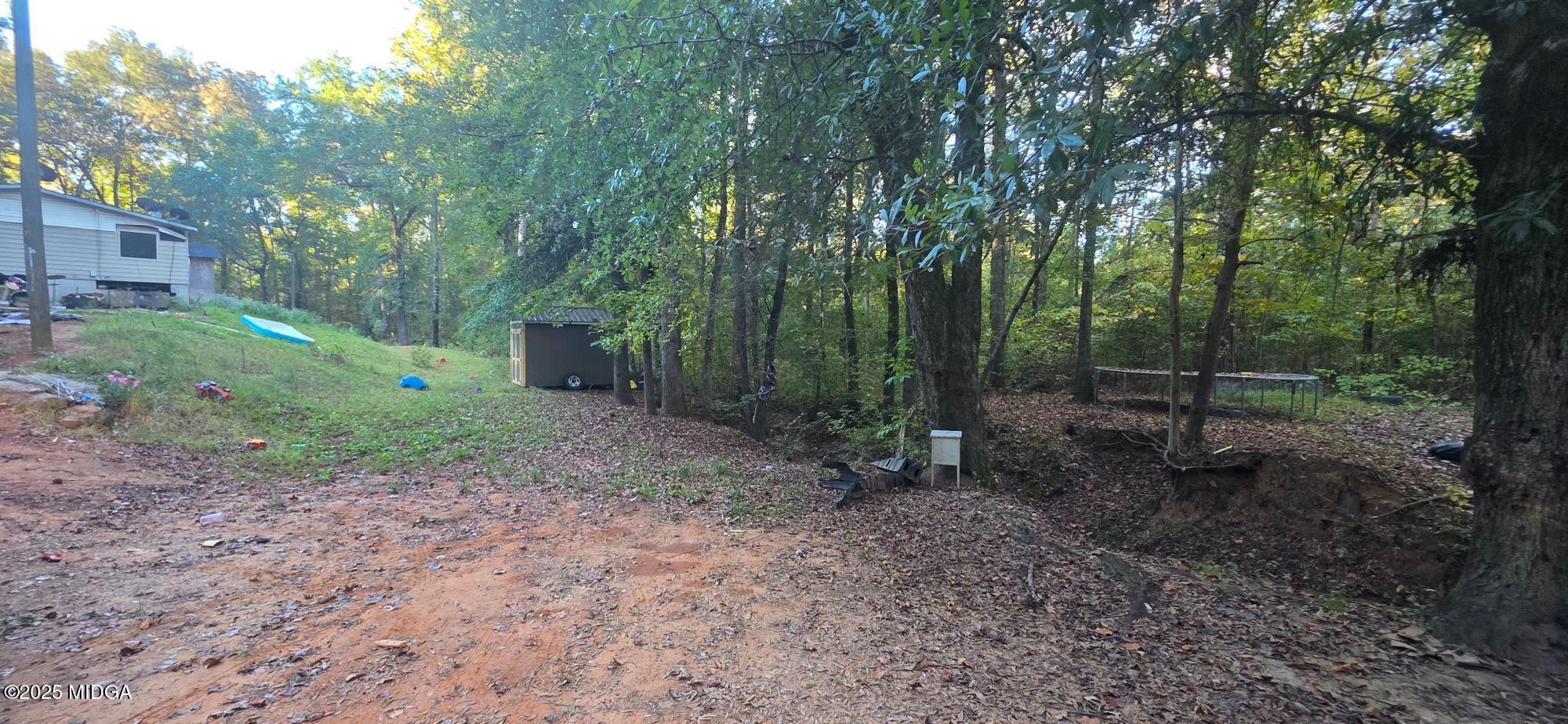 401 Towaliga Trail Forsyth, GA 31029 - Photo 20 of 30 a view of a forest with trees in the background