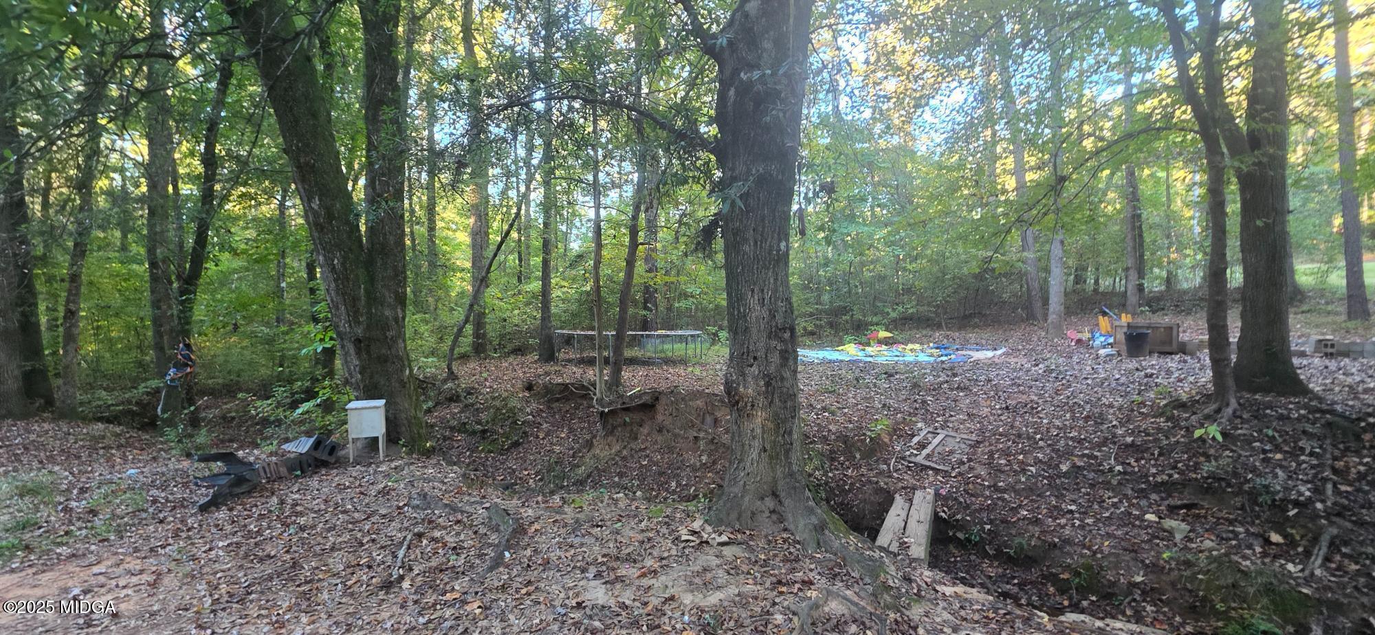 401 Towaliga Trail Forsyth, GA 31029 - Photo 21 of 30 a view of a forest that has large trees