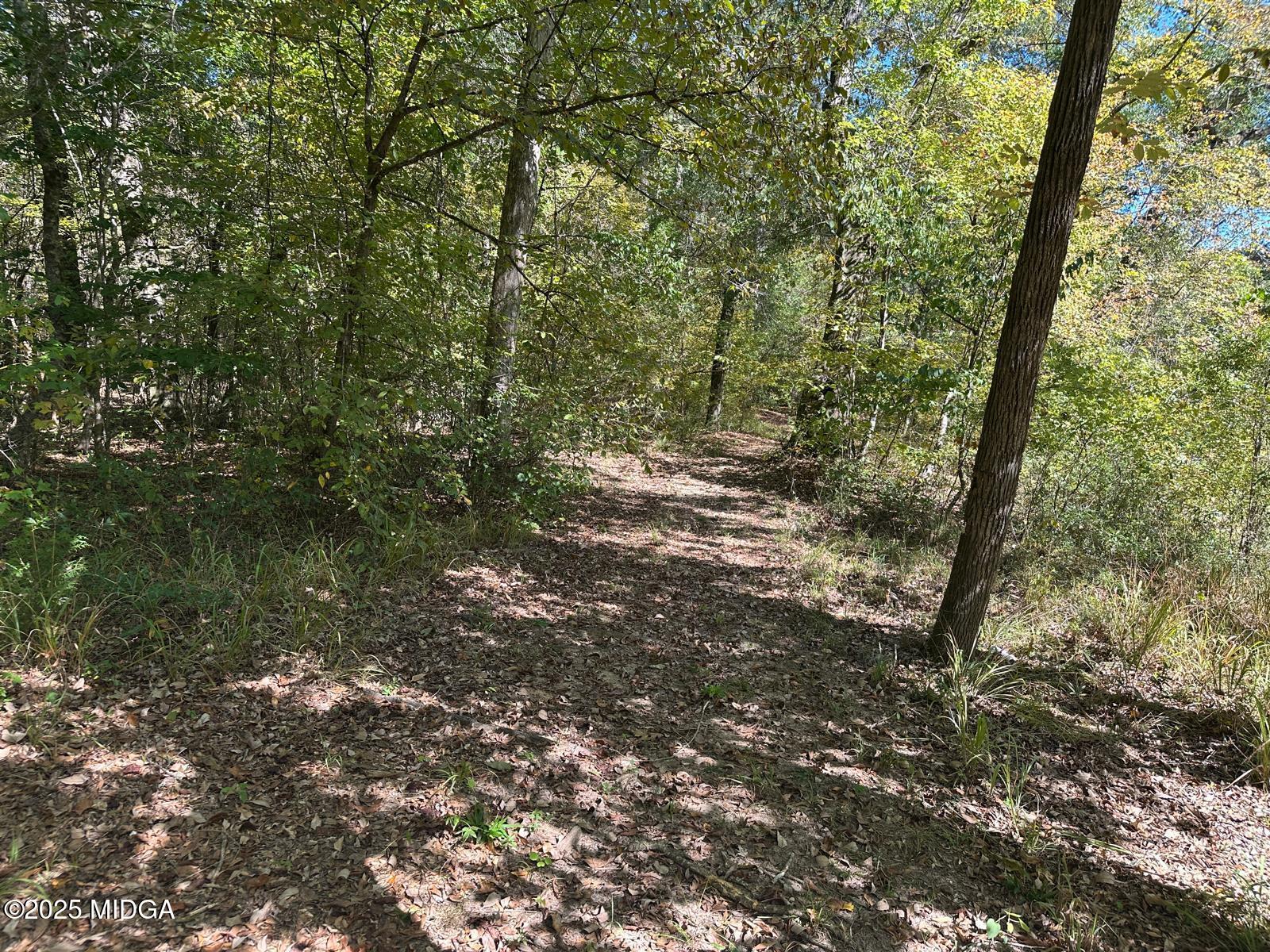 401 Towaliga Trail Forsyth, GA 31029 - Photo 26 of 30 a view of a tree in a yard