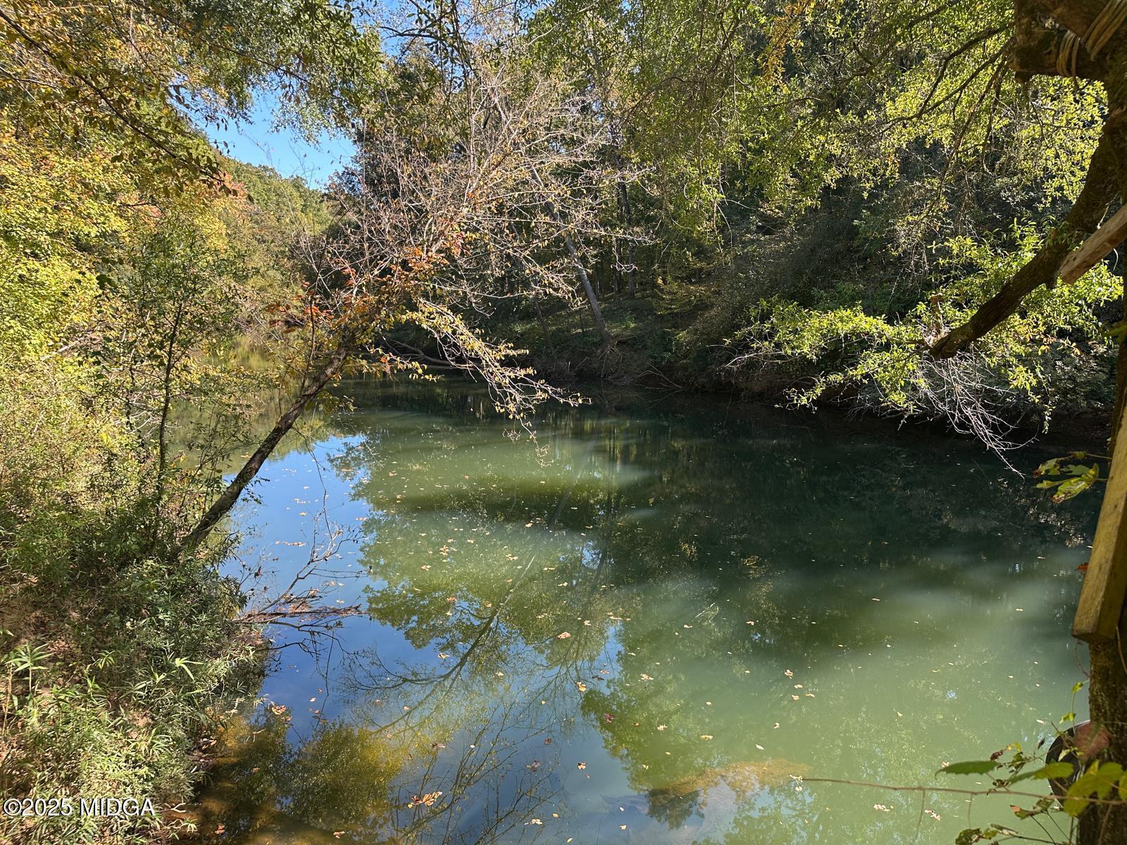 401 Towaliga Trail Forsyth, GA 31029 - Photo 27 of 30 a view of lake