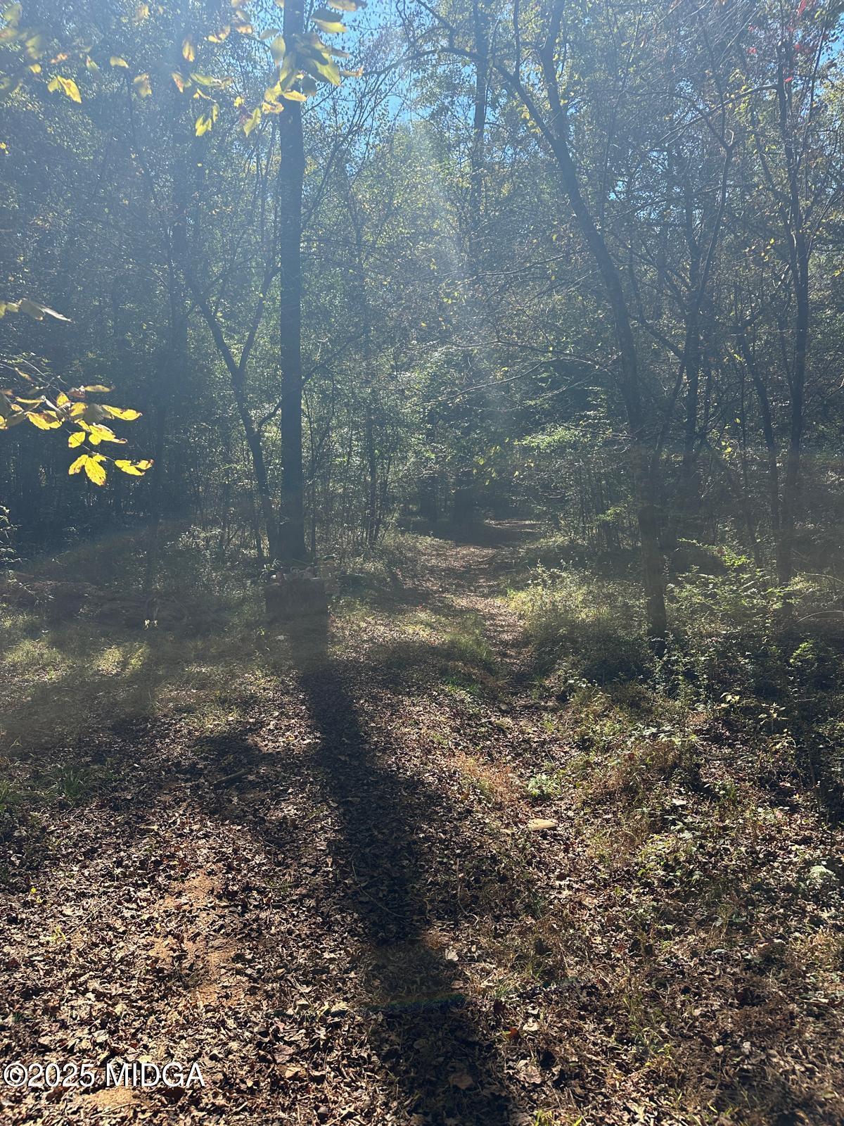 401 Towaliga Trail Forsyth, GA 31029 - Photo 30 of 30 a view of a yard