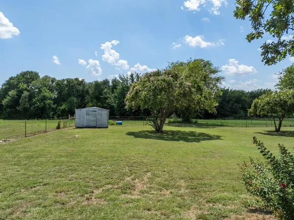 a view of a trees in a yard