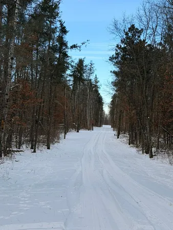 $149,000 | Lot D Lot D Sandbar Lane, Merrifield, MN 56465