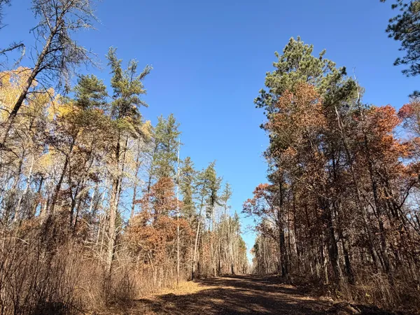 $149,000 | Lot D Lot D Sandbar Lane, Merrifield, MN 56465