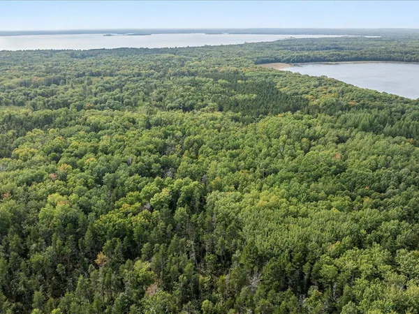 $149,000 | Lot D Lot D Sandbar Lane, Merrifield, MN 56465