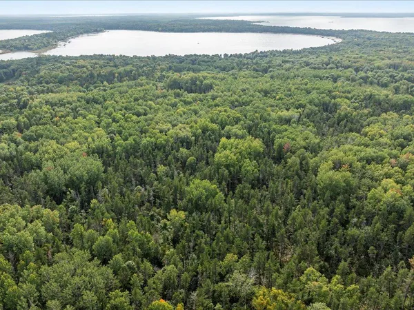 $149,000 | Lot D Lot D Sandbar Lane, Merrifield, MN 56465