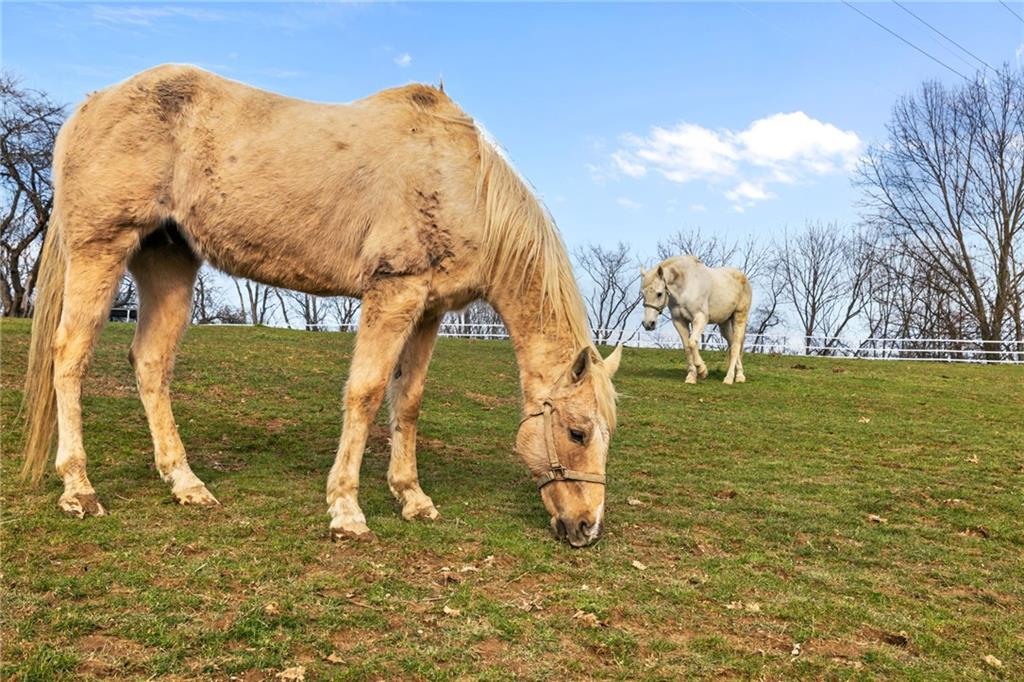 101 Hamtom Road Eighty Four, PA 15330 - Photo 46 of 50