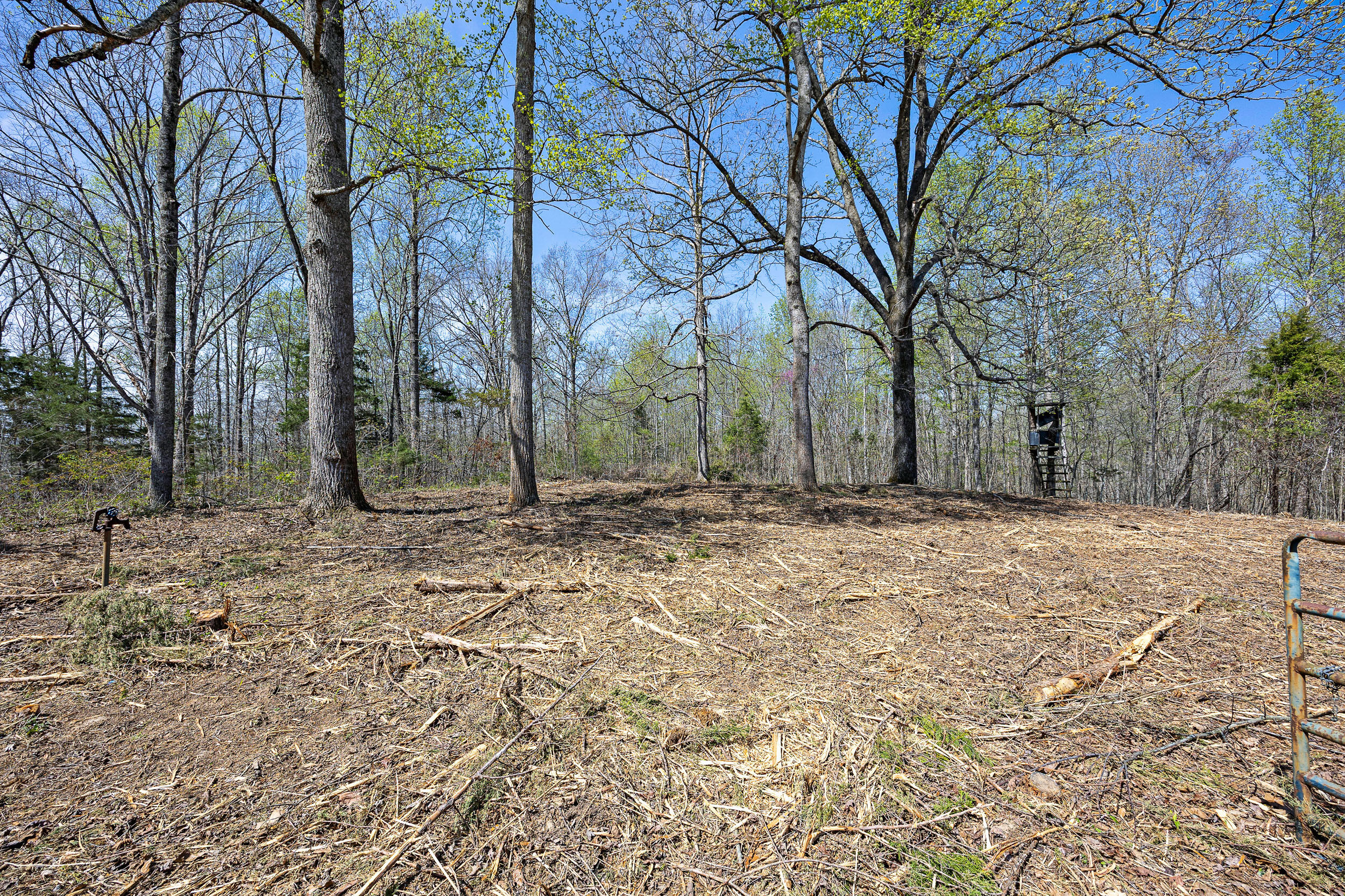 0 Brushy Road Mount Sherman, KY 42764 - Photo 3 of 6 BrushyRd-7