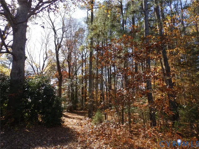 a view of a yard with a tree