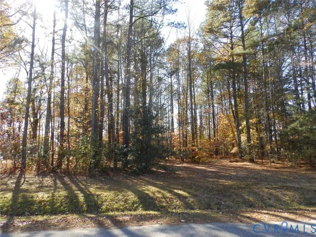 a view of road with trees
