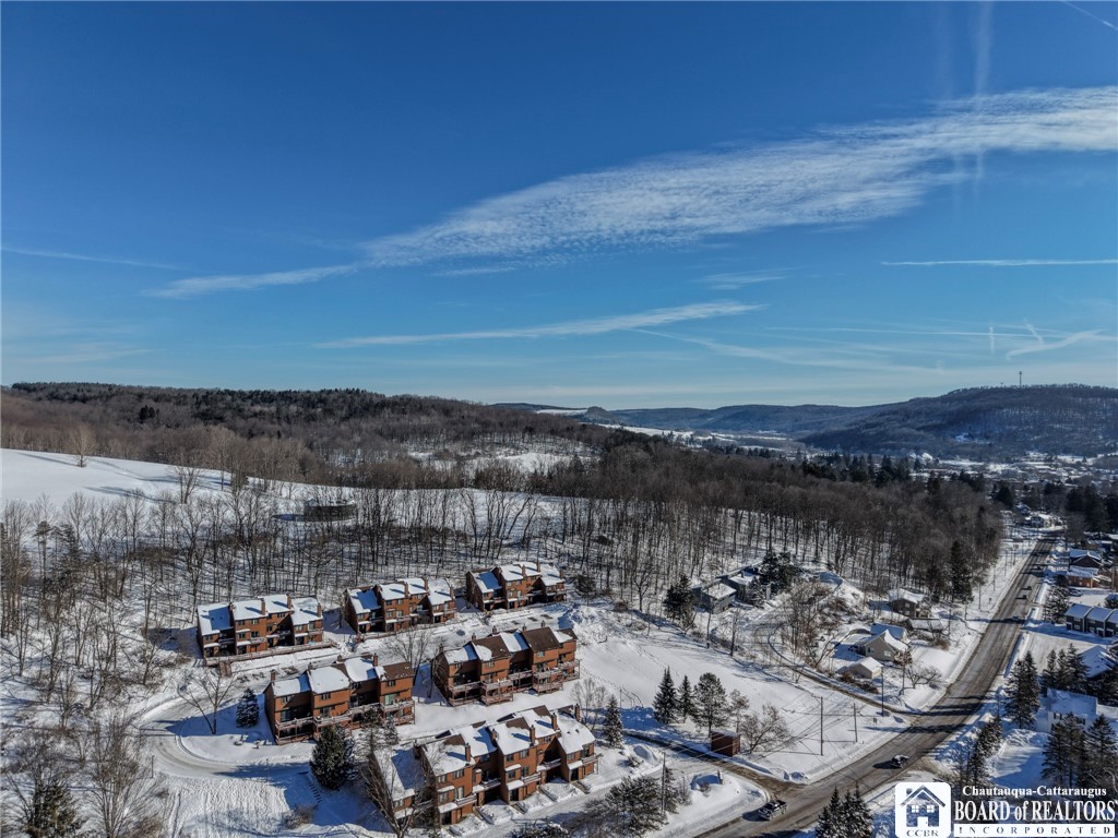 16 Stone Ridge Ellicottville, NY 14731 - Photo 33 of 46